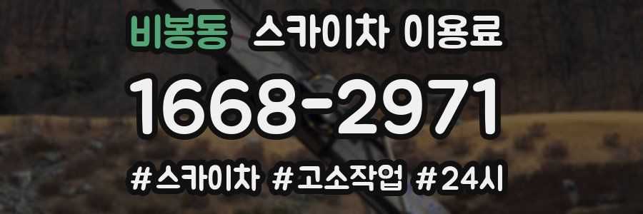 비봉동 스카이차 이용료