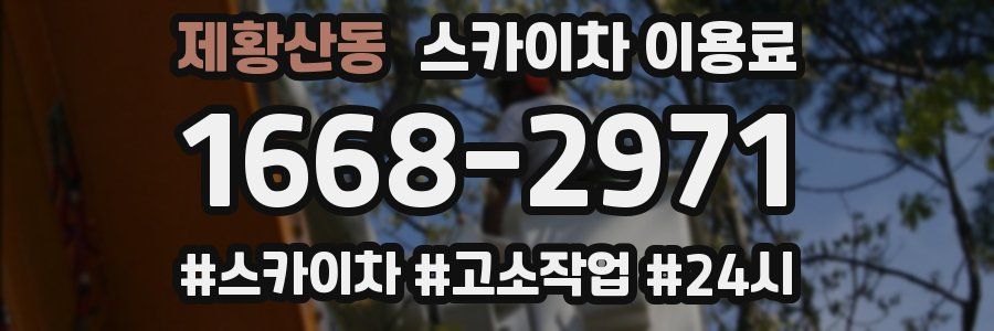 제황산동 스카이차 이용료