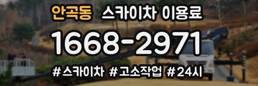 안곡동 스카이차 이용료