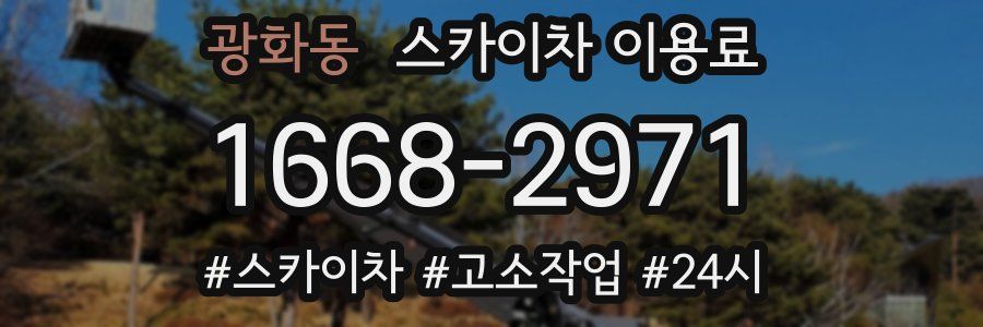 광화동 스카이차 이용료