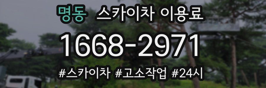 명동 스카이차 이용료