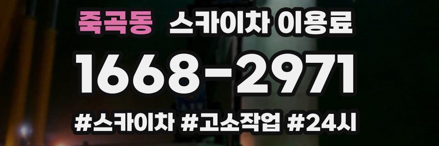 죽곡동 스카이차 이용료