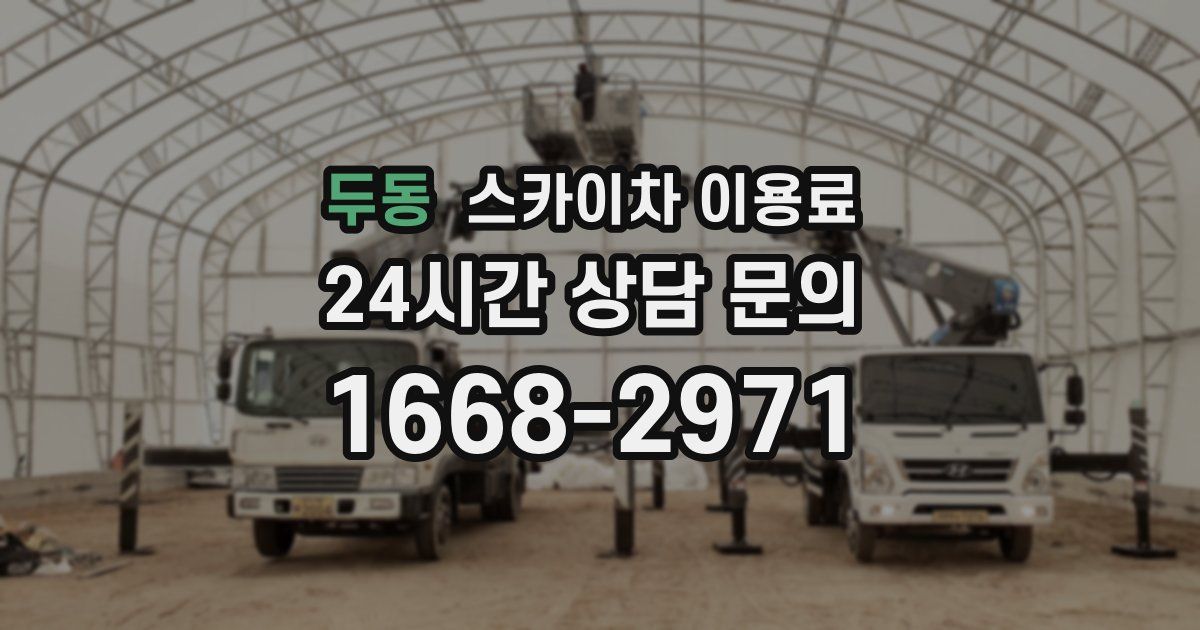 두동 스카이차 이용료