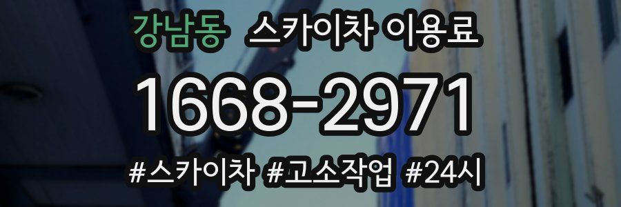 강남동 스카이차 이용료