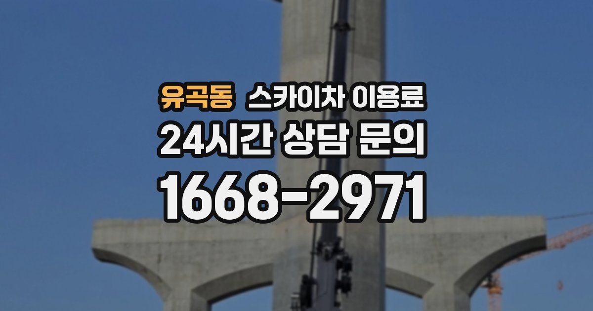 유곡동 스카이차 이용료