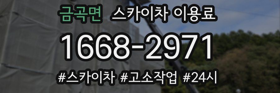 금곡면 스카이차 이용료