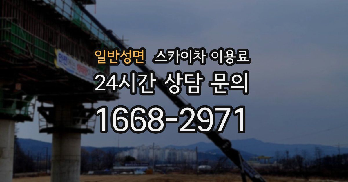 일반성면 스카이차 이용료