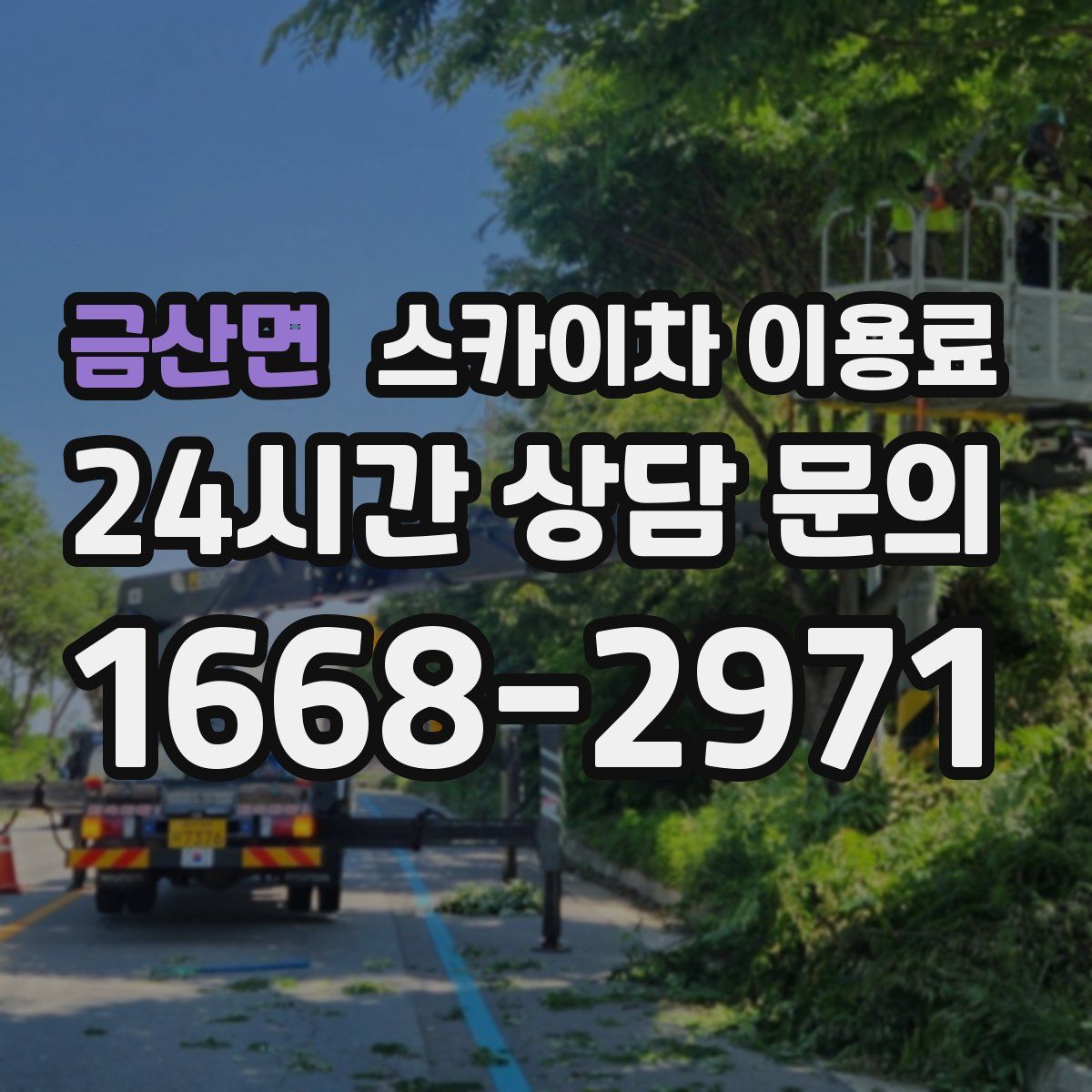 금산면 스카이차 이용료