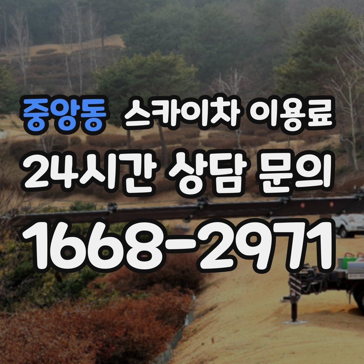 중앙동 스카이차 이용료 문의가 많아지는 계절별 특징