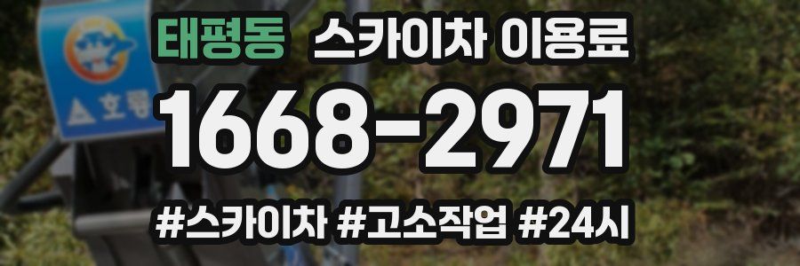 태평동 스카이차 이용료