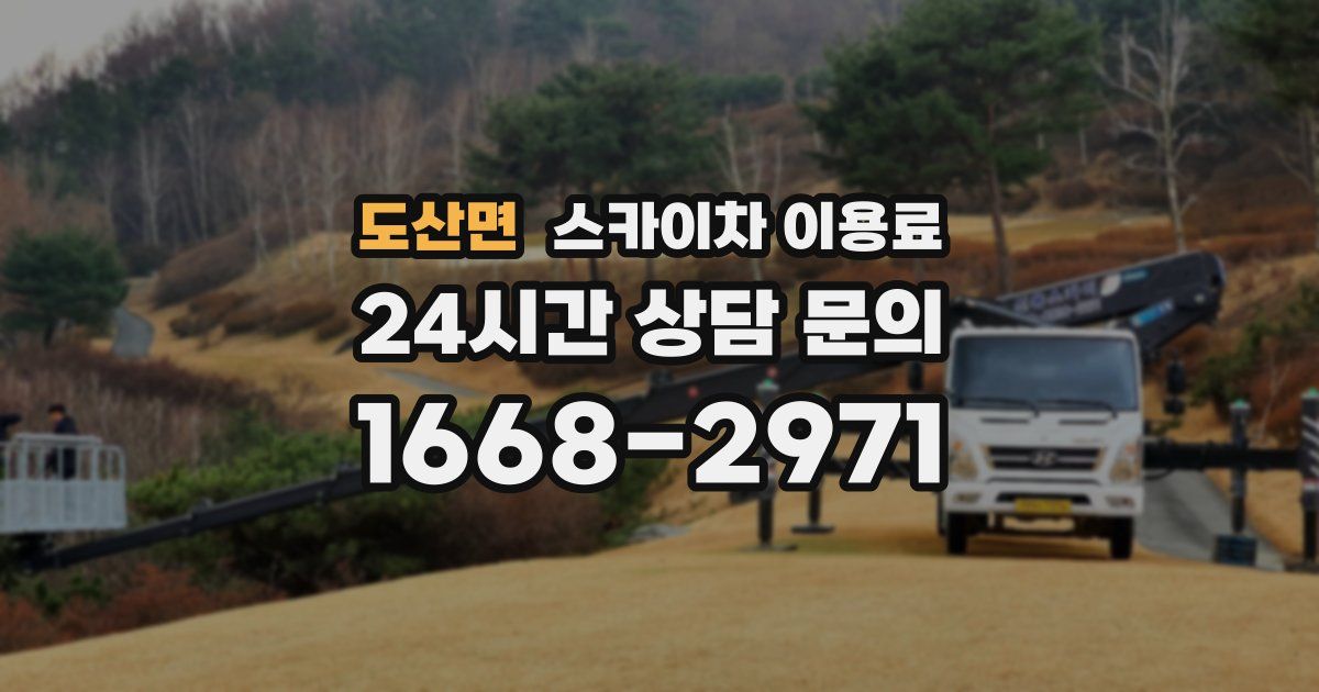 도산면 스카이차 이용료