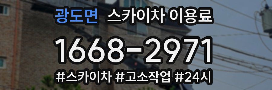 광도면 스카이차 이용료