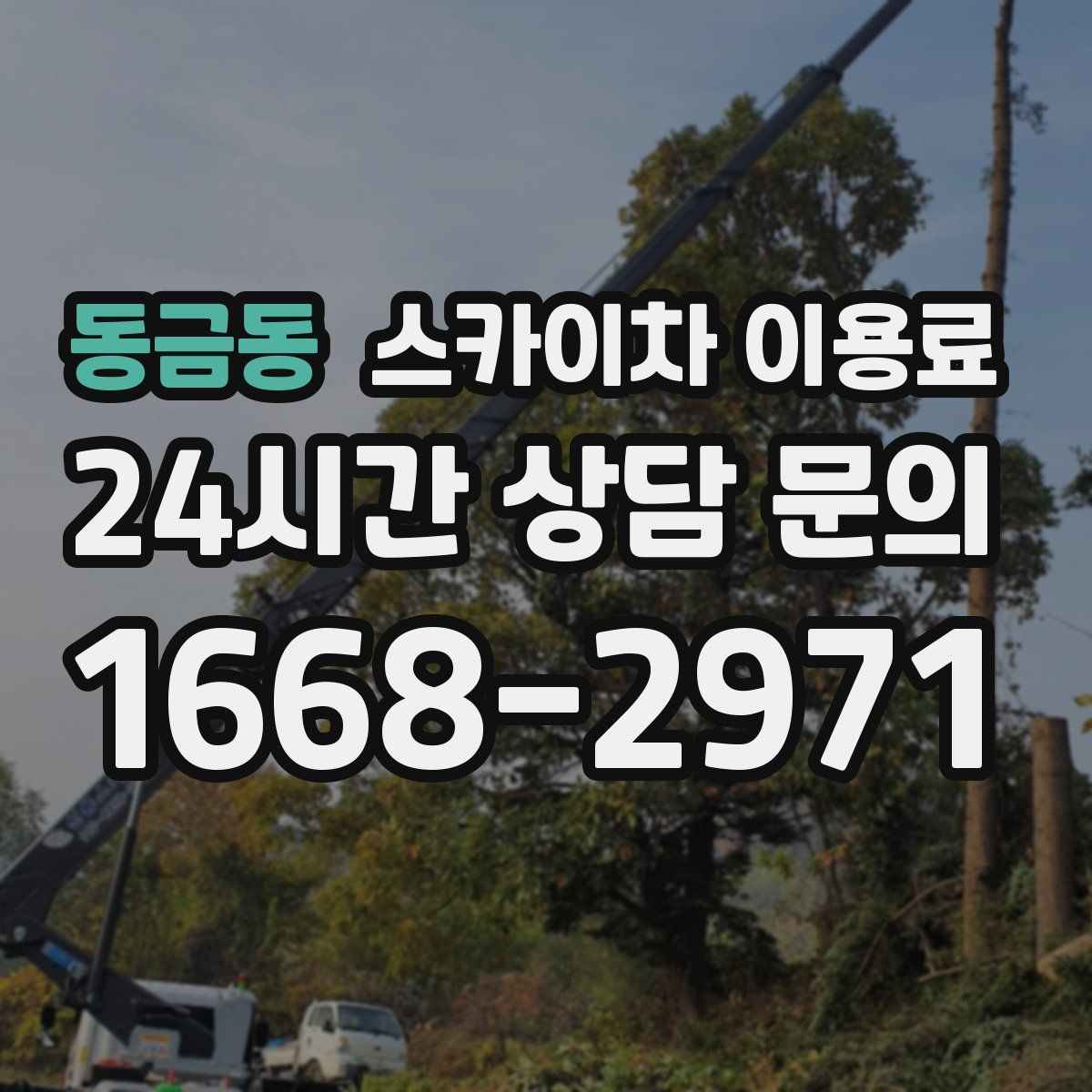 동금동 스카이차 이용료