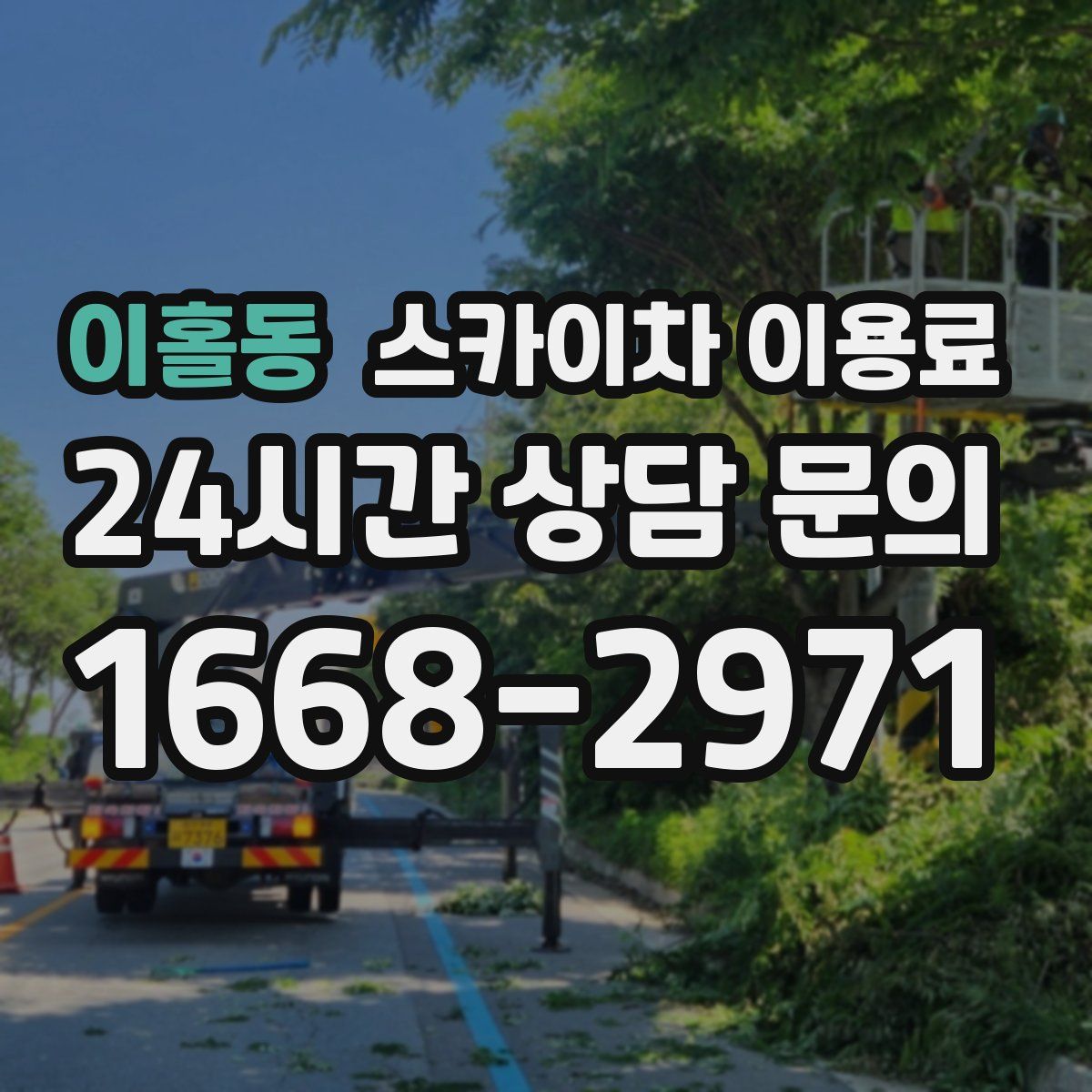 이홀동 스카이차 이용료