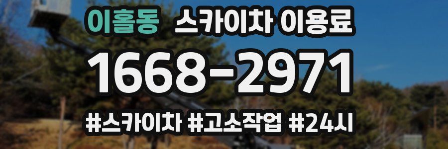 이홀동 스카이차 이용료