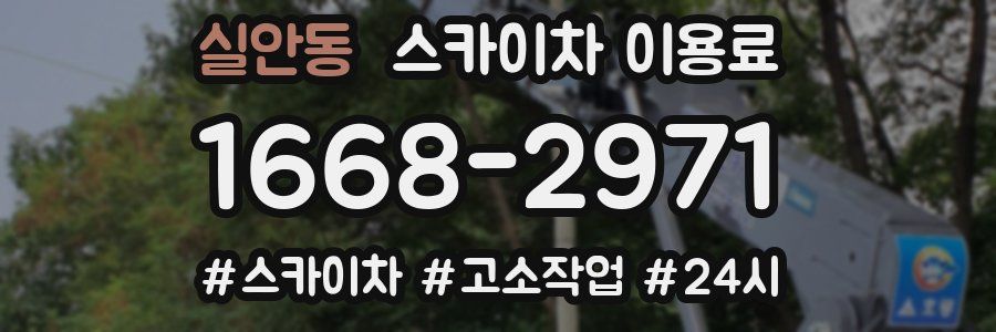 실안동 스카이차 이용료