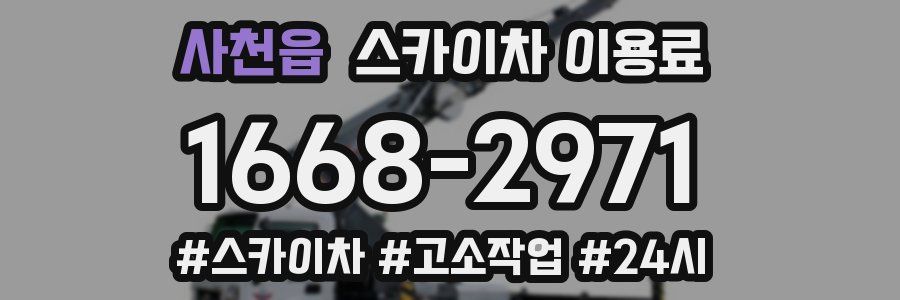 사천읍 스카이차 이용료