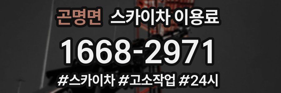 곤명면 스카이차 이용료