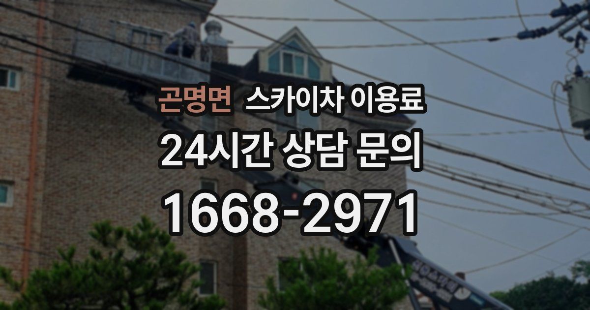 곤명면 스카이차 이용료