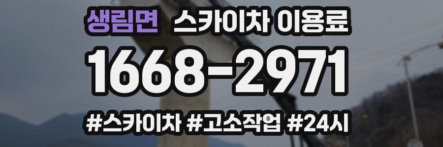 생림면 스카이차 이용료