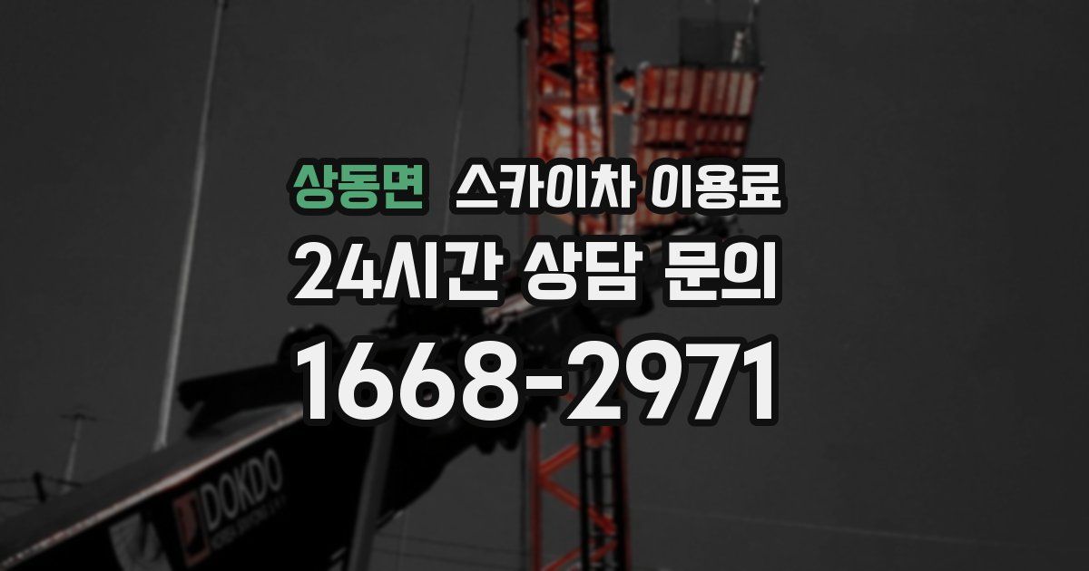 상동면 스카이차 이용료