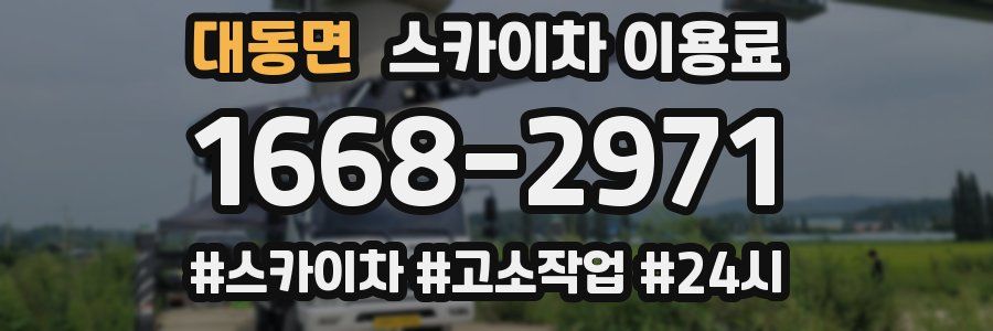 대동면 스카이차 이용료