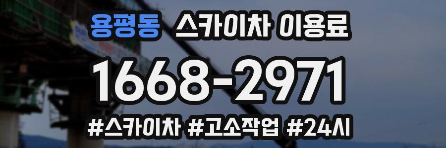 용평동 스카이차 이용료