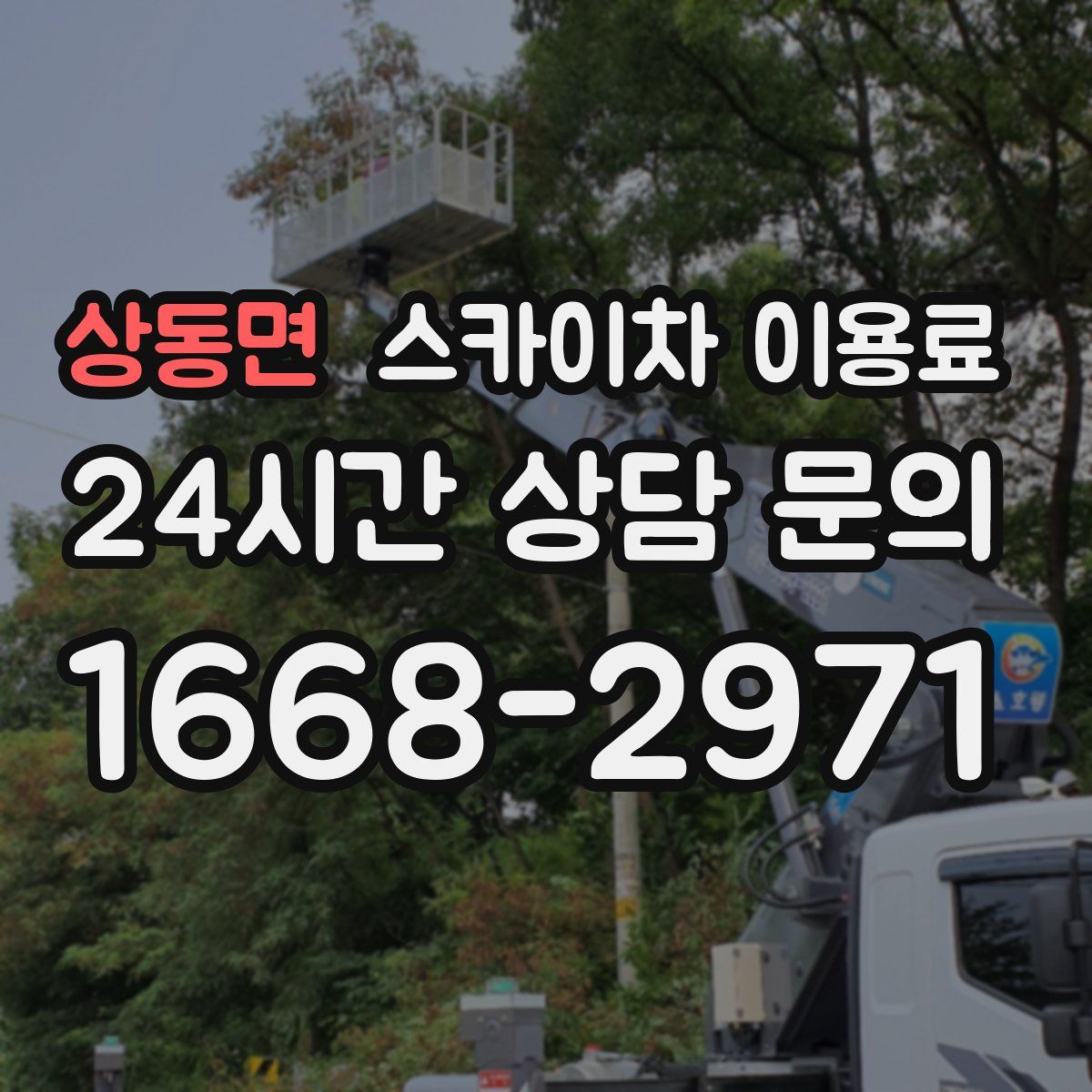 상동면 스카이차 이용료