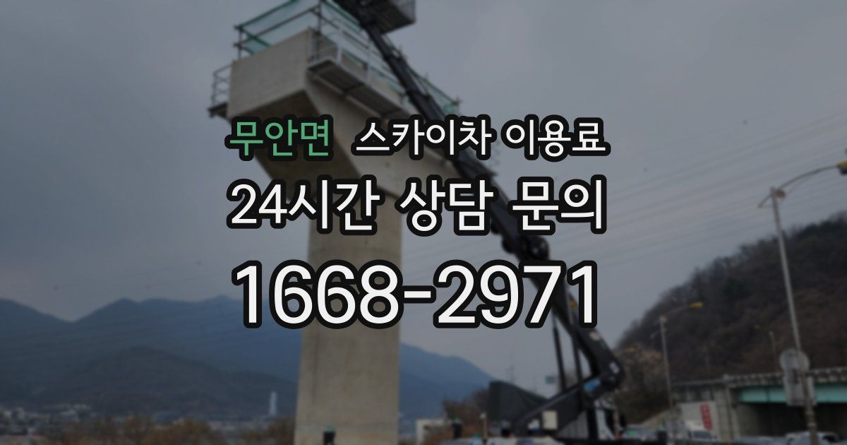 무안면 스카이차 이용료