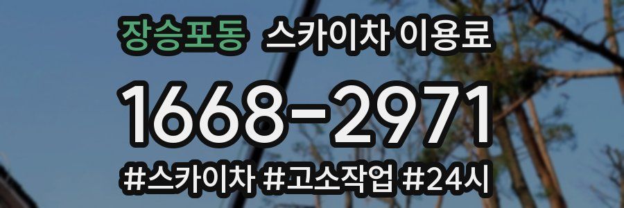 장승포동 스카이차 이용료