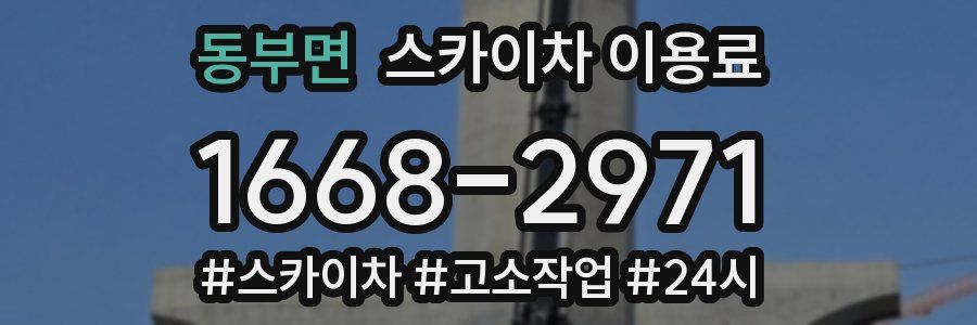 동부면 스카이차 이용료