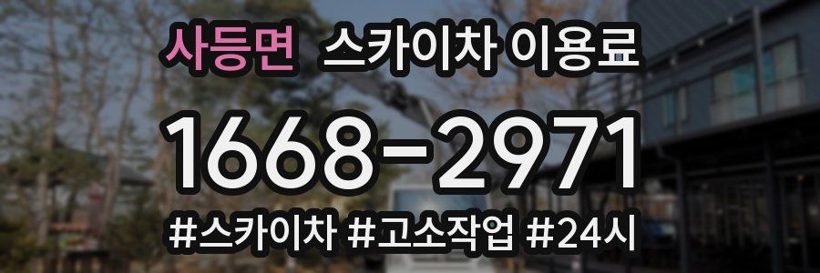 사등면 스카이차 이용료