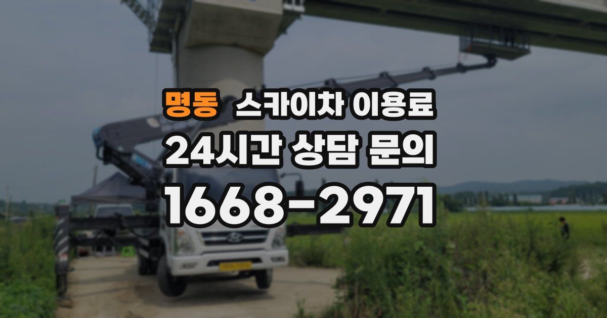 명동 스카이차 이용료
