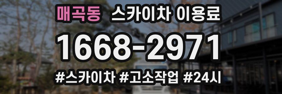 매곡동 스카이차 이용료