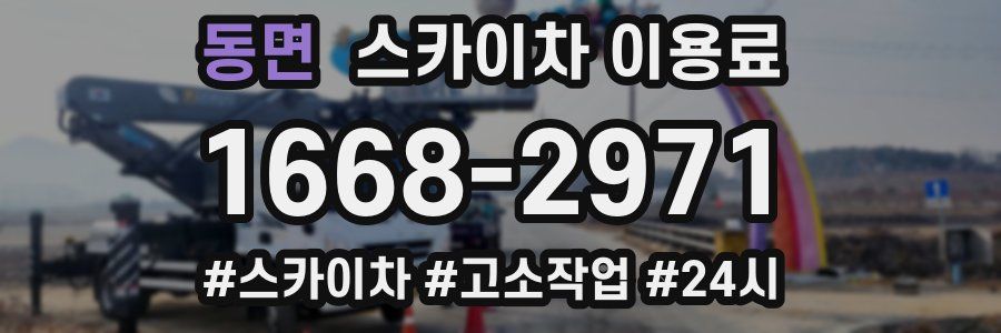동면 스카이차 이용료