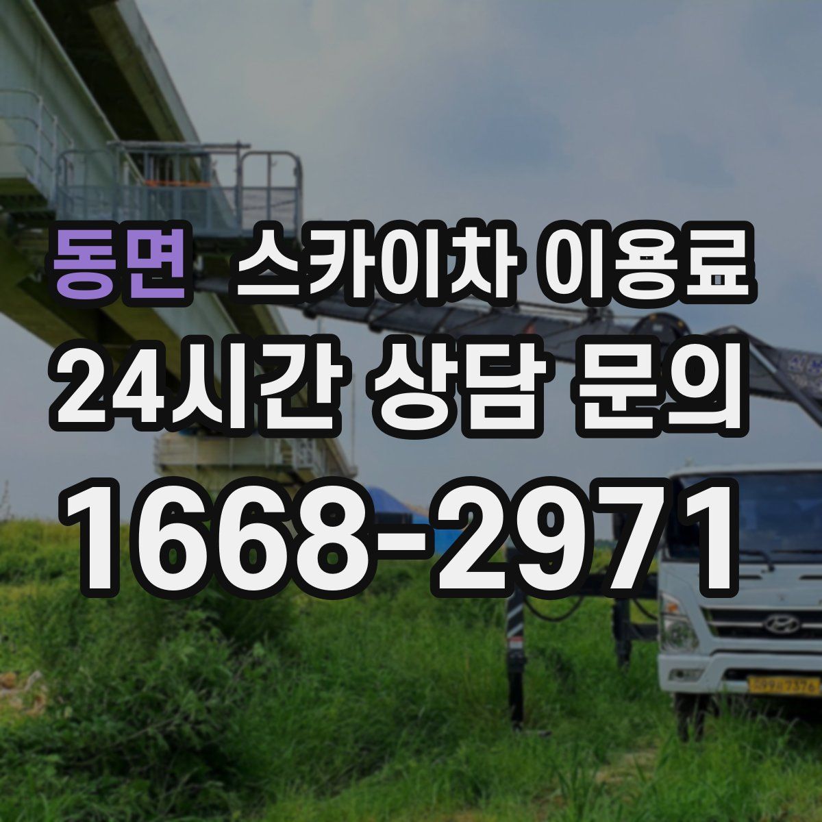 동면 스카이차 이용료