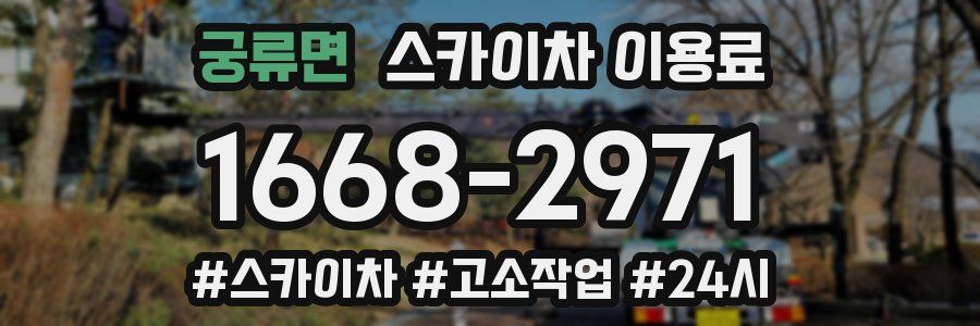 궁류면 스카이차 이용료