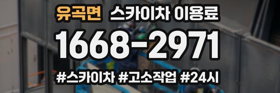 유곡면 스카이차 이용료