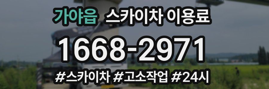 가야읍 스카이차 이용료