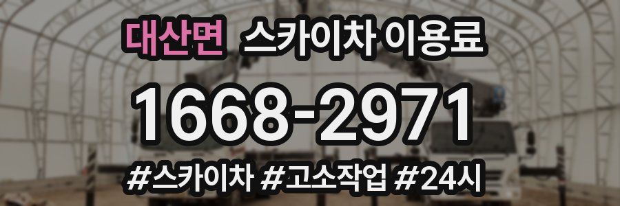대산면 스카이차 이용료