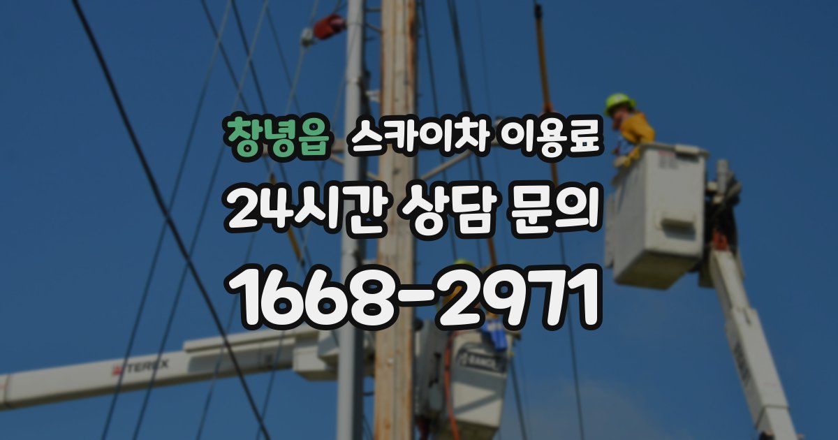 창녕읍 스카이차 이용료