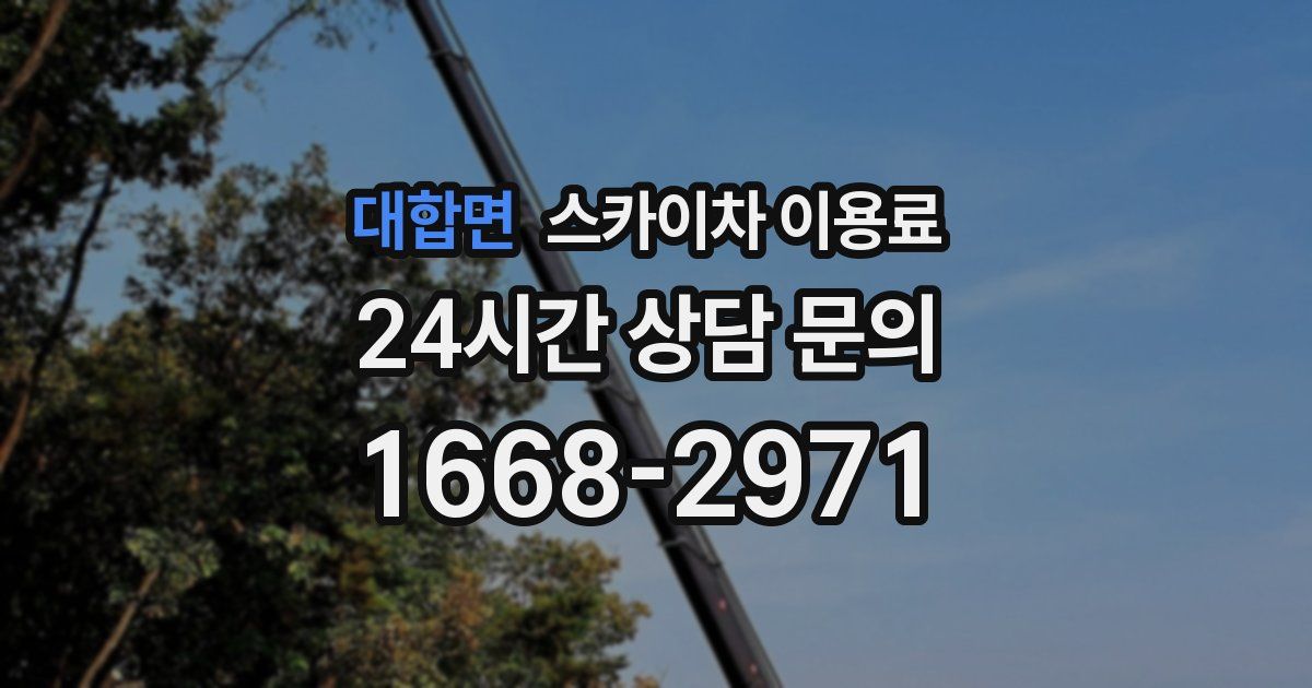 대합면 스카이차 이용료
