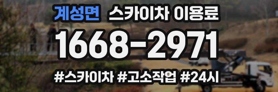 계성면 스카이차 이용료