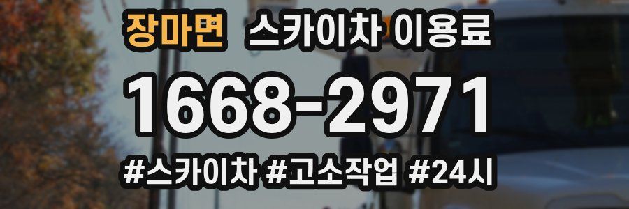 장마면 스카이차 이용료