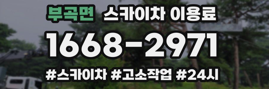 부곡면 스카이차 이용료