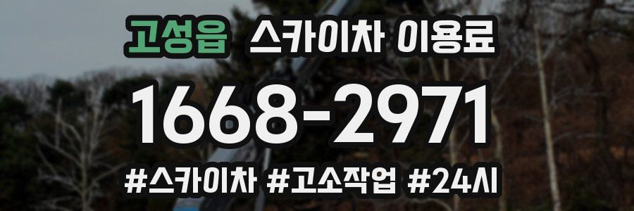 고성읍 스카이차 이용료