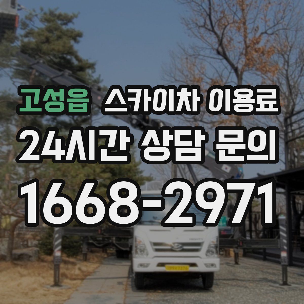 고성읍 스카이차 이용료