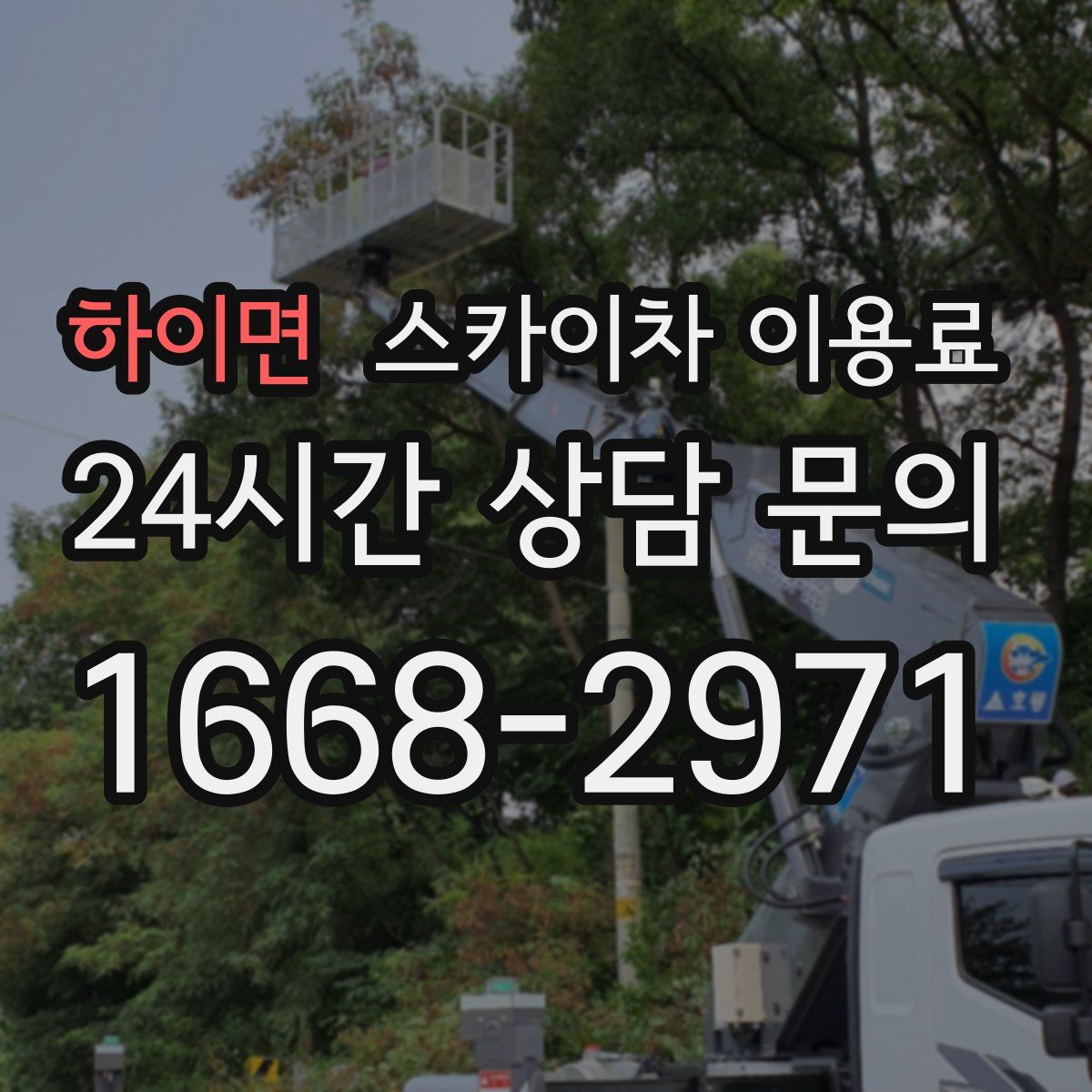 하이면 스카이차 이용료
