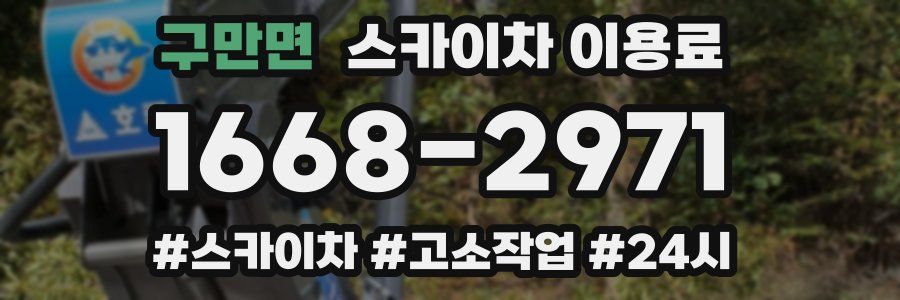 구만면 스카이차 이용료