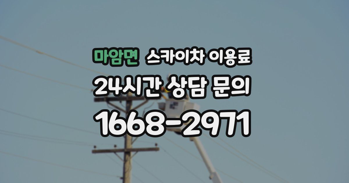 마암면 스카이차 이용료